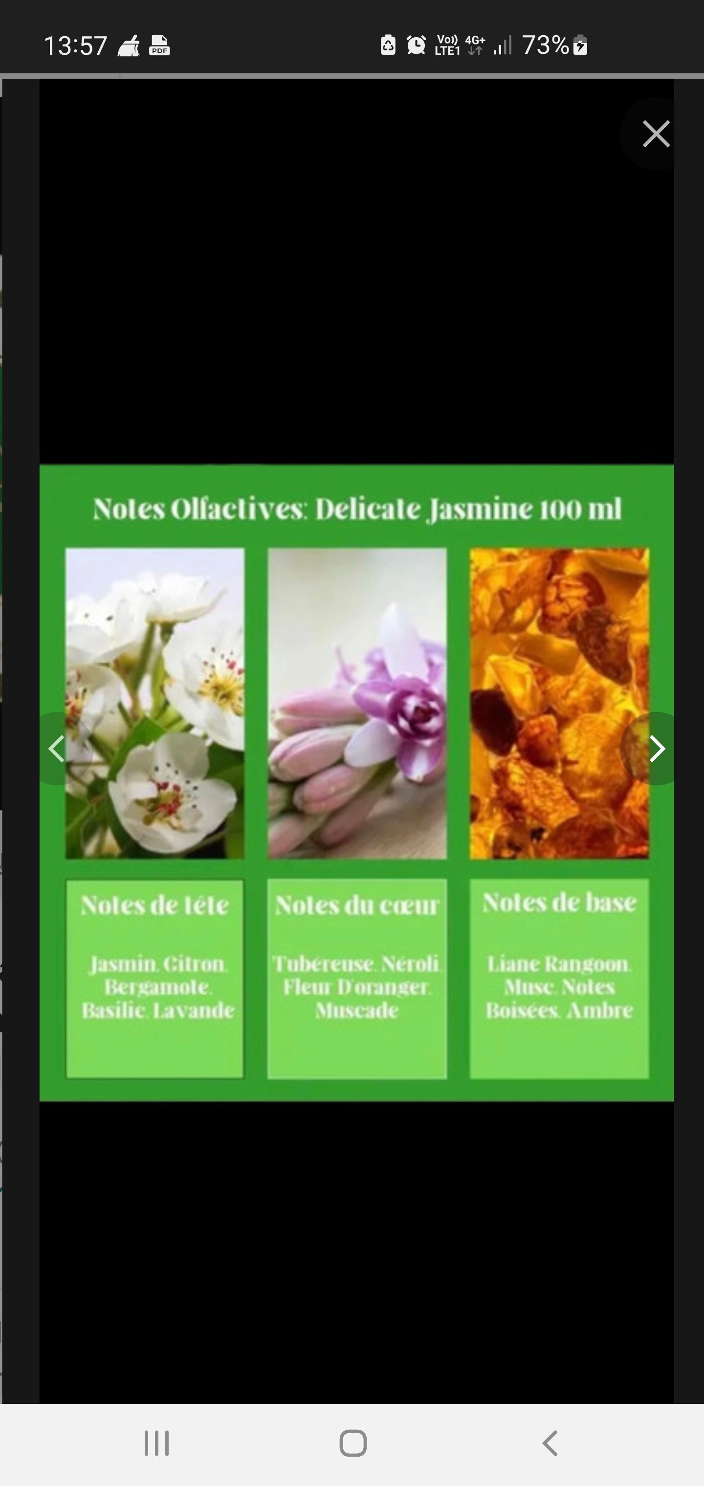 Eau de Parfum Délicate Jasmine -Ayat Perfumes